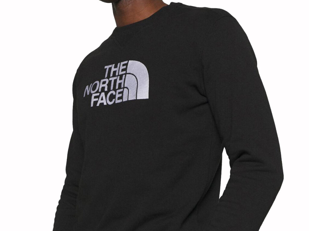 Felpa the North face