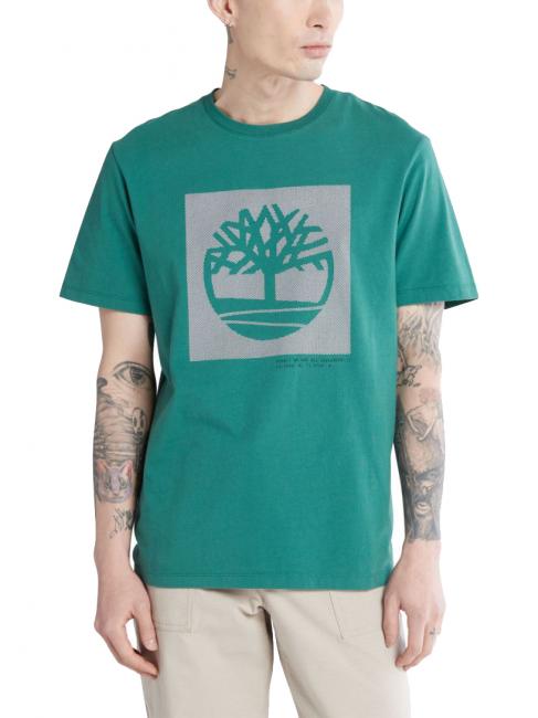 TIMBERLAND GRAPHIC T-shirt con grafica Tree posy green - T-shirt Uomo