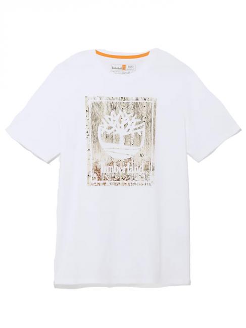 TIMBERLAND SES STACK T-shirt con grafica Tree white - T-shirt Uomo