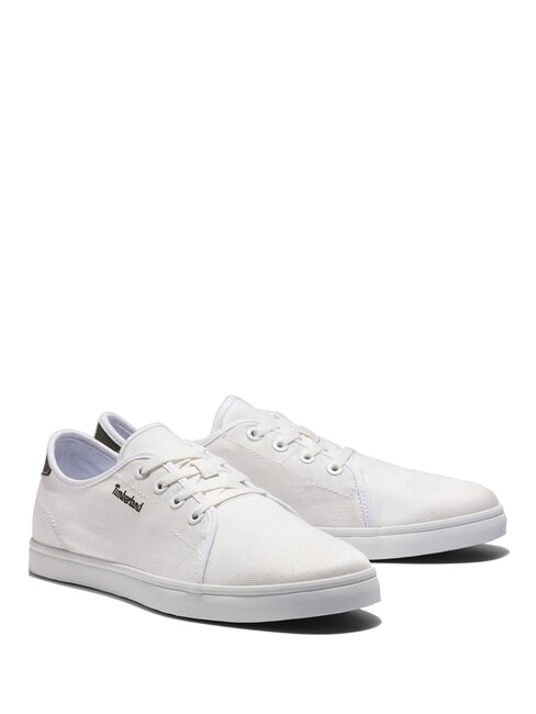 TIMBERLAND SHAPE PARK LOW  Sneakers blanc de blanc - Scarpe Uomo