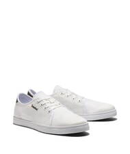 TIMBERLAND SHAPE PARK LOW  Sneakers - Scarpe Uomo