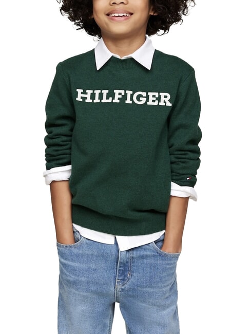 TOMMY HILFIGER TH KIDS Maglione a girocollo ornamental green - Maglioni Bambini