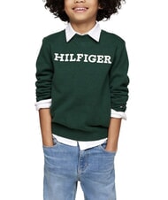 TOMMY HILFIGER TH KIDS Maglione a girocollo - Maglioni Bambini