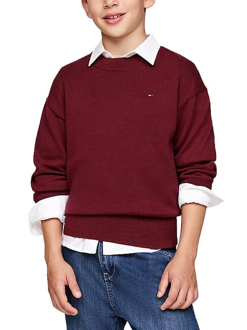 TOMMY HILFIGER TH KIDS Maglione girocollo in cotone deep rouge - Maglioni Bambini