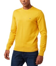 TOMMY HILFIGER 1985 CREW Felpa in misto cotone - Maglie Uomo