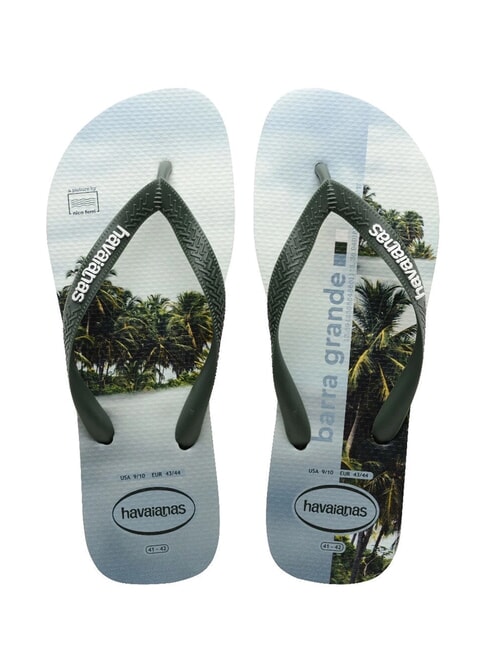 HAVAIANAS TOP SURFER Infradito olivegreen - Scarpe Uomo