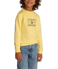 TOMMY HILFIGER TH KIDS Felpa a girocollo con stampa - Felpe Bambini