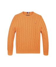 TOMMY HILFIGER TH KIDS Maglione bimbo in cotone - Maglioni Bambini