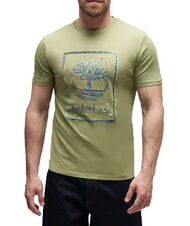 TIMBERLAND WATER T-shirt a maniche corte, puro cotone light green - T-shirt Uomo - 1