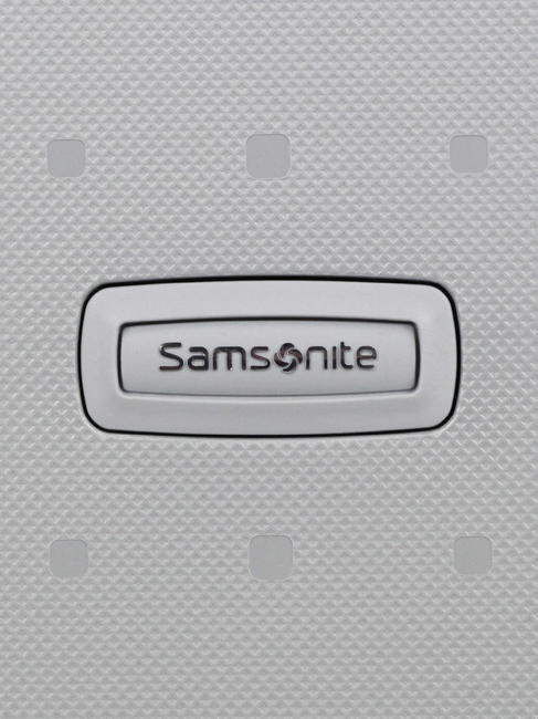 S'CURE Trolley bagaglio a mano SILVER - Bagagli a mano