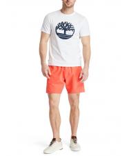TIMBERLAND LOGO SWIM Costume da bagno cayenne - Costumi da bagno Uomo - 6