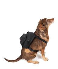 EASTPAK DOG PAK'R Mini Zaino per cani  - Articoli per animali