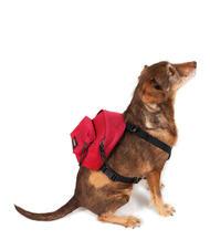 EASTPAK DOG PAK'R Mini Zaino per cani  Sailor Red - Articoli per animali - 2