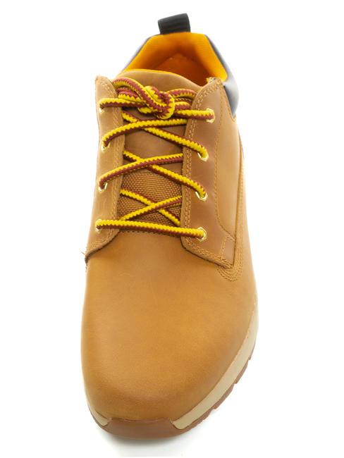 KILLINGTON LOW Scarpa stringata in pelle wheat - Scarpe Uomo