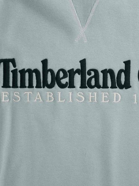 ESTABILISHED 1973 Felpa girocollo quarry - Felpe Uomo