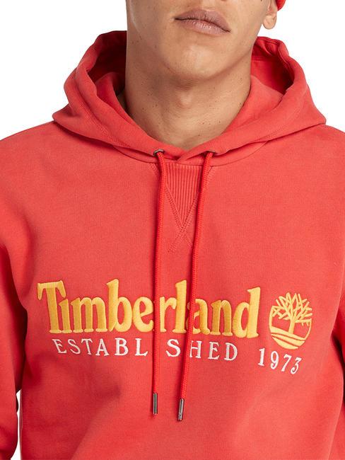 LS  Felpa con cappuccio aura orange wb - Felpe Uomo