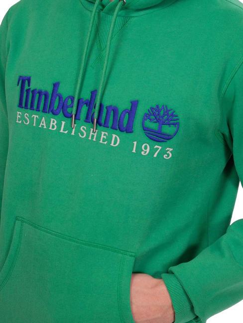 LS  Felpa con cappuccio celtic green wb - Felpe Uomo