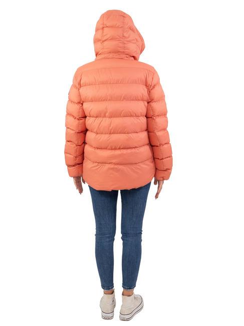 NISTON NY Piumino corto con cappuccio terra di siena - Piumini Donna