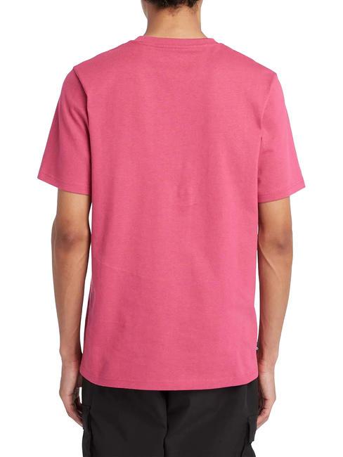 ESTABILISHED 1973 T-shirt in cotone vivacious wb - T-shirt Uomo