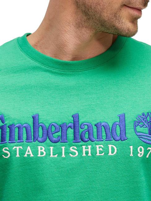 ESTABILISHED 1973 T-shirt in cotone celtic green wb - T-shirt Uomo