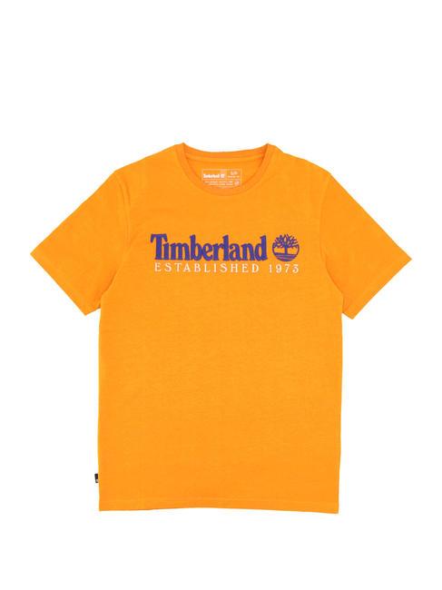 ESTABILISHED 1973 T-shirt in cotone dark cheddar wb - T-shirt Uomo