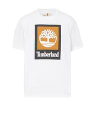 TIMBERLAND STACK LOGO T-shirt in cotone white - T-shirt Uomo - 3