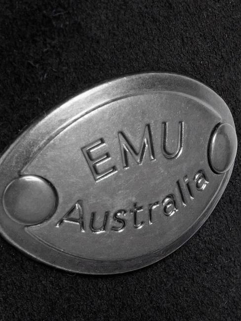 PLATINUM STRINGER  Stivaletti in pelle black - Scarpe Donna