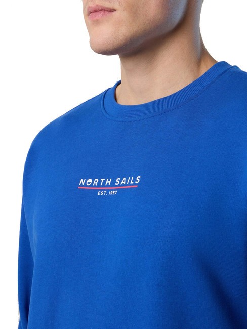 BASIC Felpa in cotone con lettering logo surf blue - Felpe Uomo