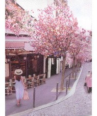 YNOT YESBAG Borsa hobo a spalla paris cafe - Borse Donna - 3