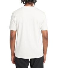TIMBERLAND KENNEBEC RIVER TREE LOGO T-shirt in cotone vintage white - T-shirt Uomo - 2