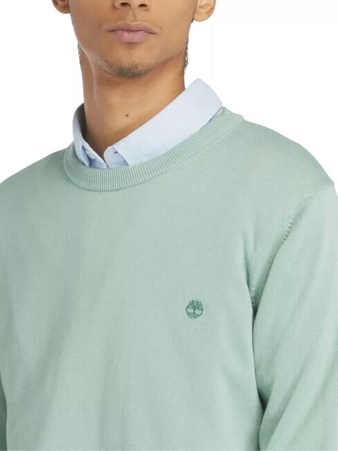 WILLIAMS RIVER Maglioncino girocollo granite green - Maglie Uomo