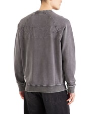 GUESS RAGLAN Felpa a girocollo in cotone - Felpe Uomo