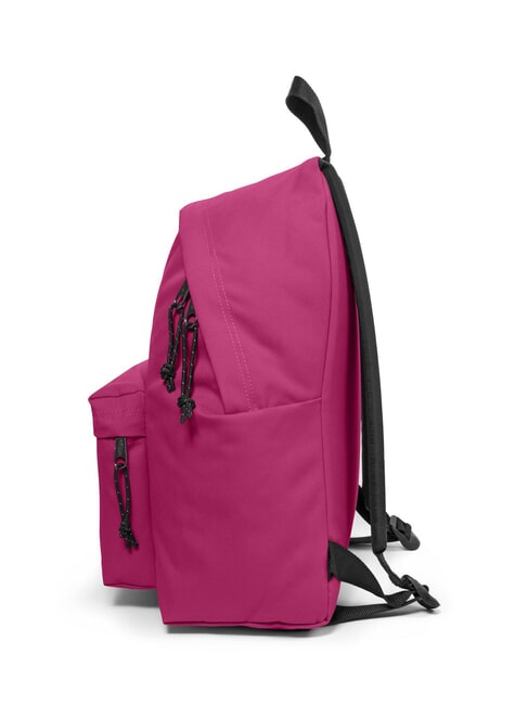 PADDED PAKR Zaino magnoliafuchsia - Zaini Scuola & Tempo Libero