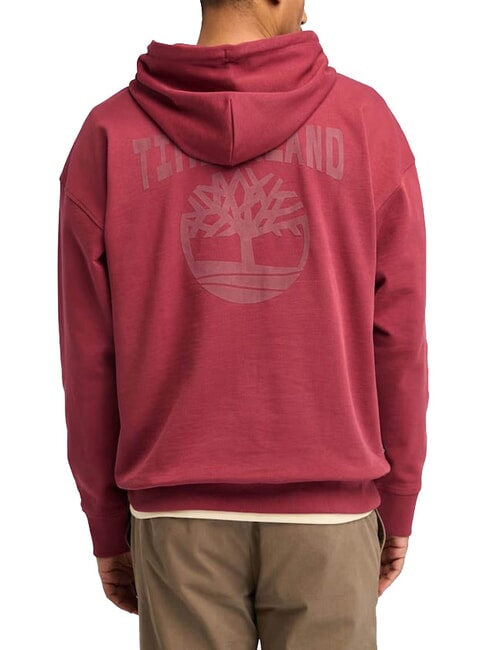 BACK LOGO  Felpa con cappuccio cordovan - Felpe Uomo