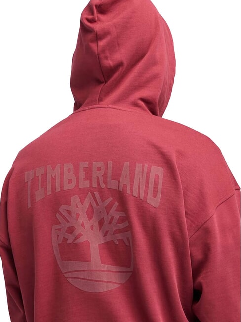 BACK LOGO  Felpa con cappuccio cordovan - Felpe Uomo