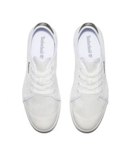 TIMBERLAND SHAPE PARK LOW  Sneakers blanc de blanc - Scarpe Uomo - 3