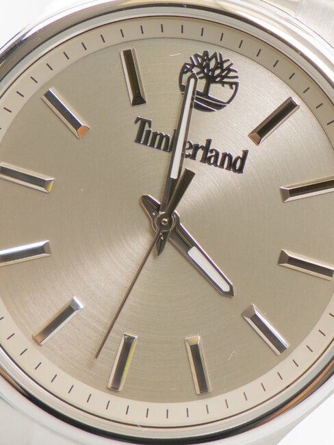 NORTHBRIDGE Orologio solo tempo  acciaio - Orologi