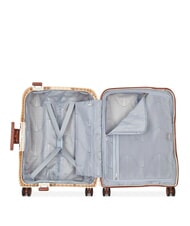 DELSEY MONCEY MR Trolley Bagaglio a Mano Slim - Bagagli a mano