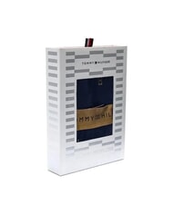 TOMMY HILFIGER TH Kit: Slip+Calzini outline flag/desert sky - Slip Uomo - 4