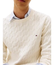 TOMMY HILFIGER TH  Maglioncino girocollo ivory petal - Maglie Uomo - 3