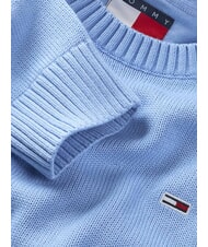 TOMMY HILFIGER TH JEANS  Girocollo in cotone sugarplum blue - Maglie Uomo - 6