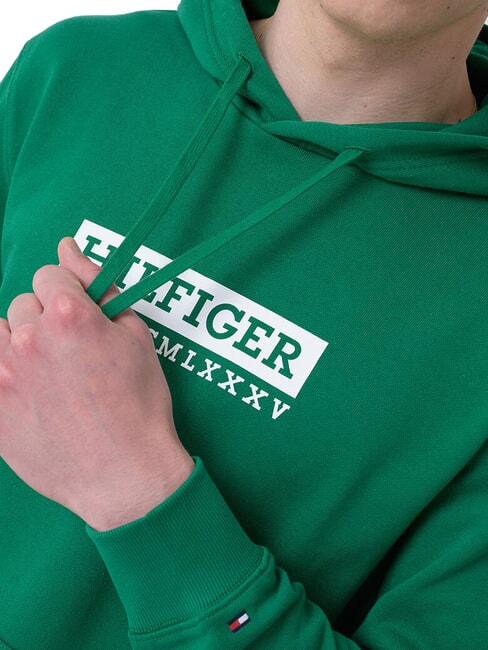 TH Felpa con stampa e cappuccio nouveau green - Felpe Uomo