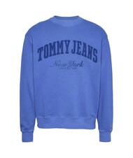 TOMMY HILFIGER TH JEANS Felpa con logo teddy tempo blue - Felpe Uomo - 4