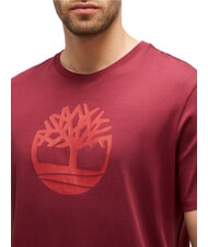 TIMBERLAND KBEC RIVER T-shirt a mezze maniche burgundy - T-shirt Uomo - 3