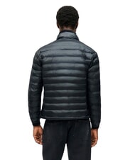 BLAUER SEWALL Piumino imbottito corto, collo alto ner/grey 995 - Piumini Uomo - 2