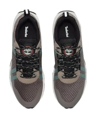 TIMBERLAND WINSOR TRAIL Sneakers misto pelle taupe mesh - Scarpe Uomo - 4