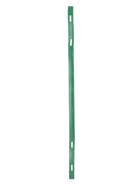CAMPIONARIO - MAN Tracolla per borse cilantro green - Accessori per borse
