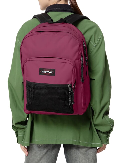 PINNACLE Zaino wine burgundy - Zaini Scuola & Tempo Libero