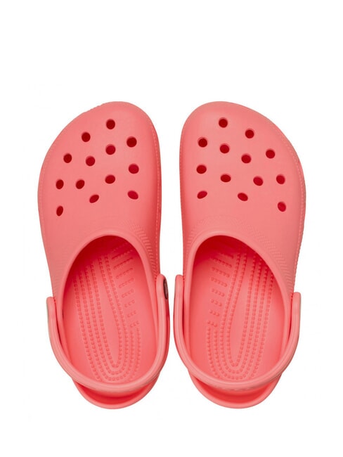 CLASSIC SABOT U Sandalo   guava - Scarpe Unisex