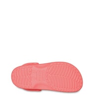 CROCS CLASSIC SABOT U Sandalo   guava - Scarpe Unisex - 5